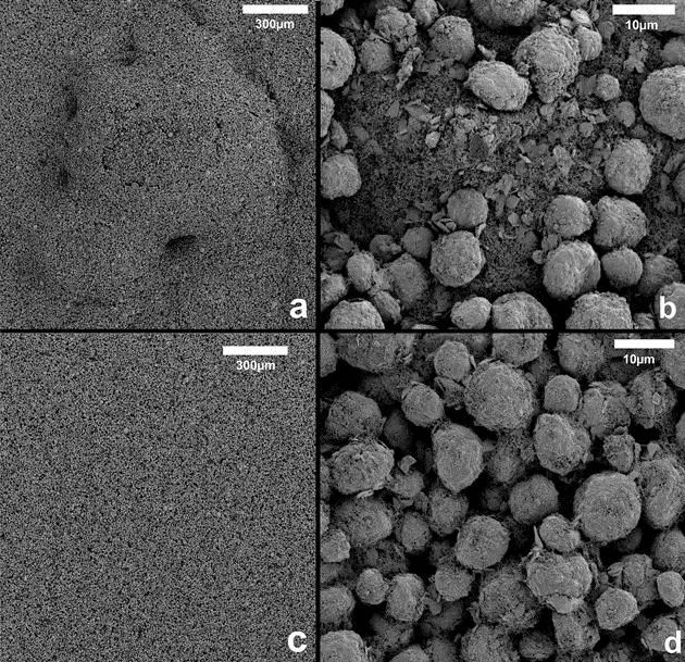 pherical graphite + SUPER C65 + CMC + distilled water Macroscopic morphology of two different mixing processes