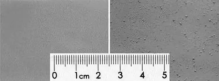 Negative electrode surface agglomerates particles
